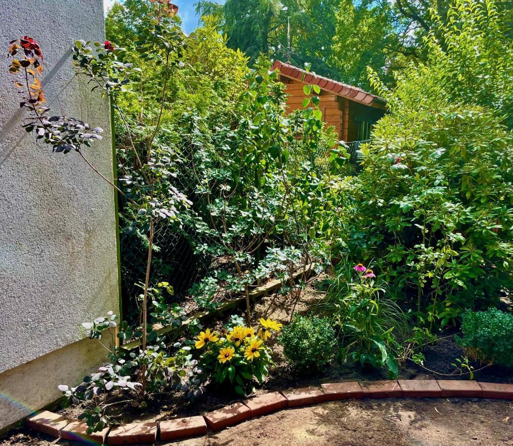 Chez Lana Lejlighed Berlin Eksteriør billede